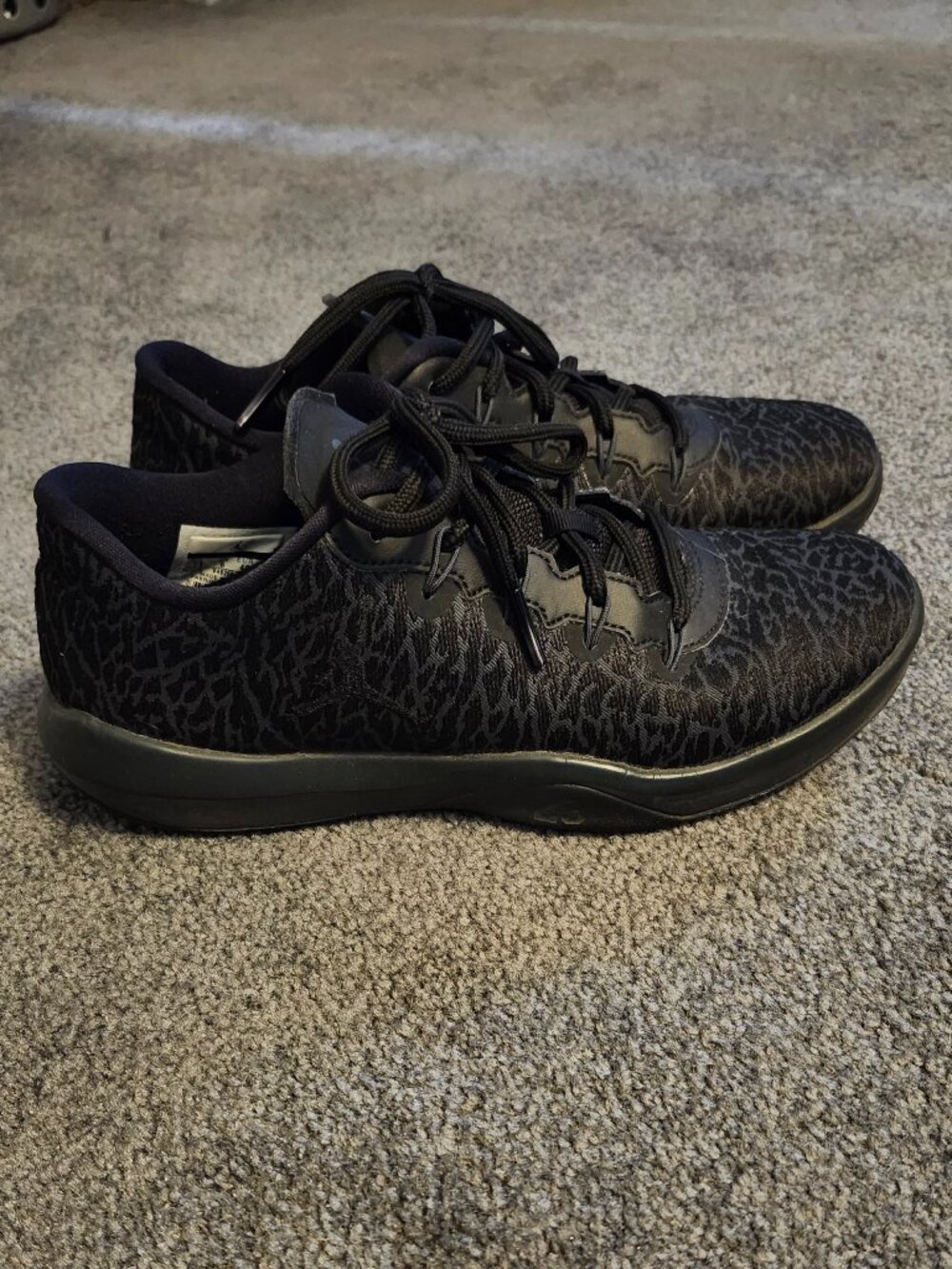 Air Jordan Trainer Low Black Anthracite